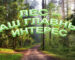 лес 25